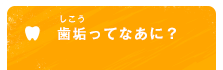 歯垢（しこう）ってなあに？