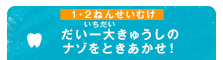 だい一大きゅうしのナゾをときあかせ！