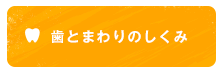 歯とまわりのしくみ