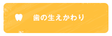 歯の生えかわり