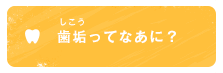 歯垢（しこう）ってなあに？