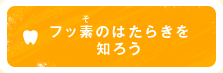 フッ素（そ）のはたらきを知ろう