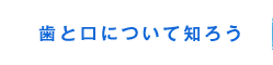 歯と口について知ろう