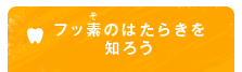 フッ素（そ）のはたらきを知ろう