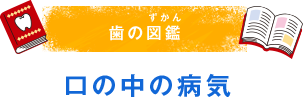 歯の図鑑（ずかん） 歯と口について知ろう