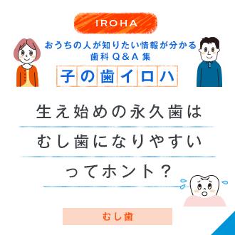 IROHA おうちの人が知りたい情報が分かる歯科Q＆A集 子の歯イロハ 生え始めの永久歯はむし歯になりやすいってホント？