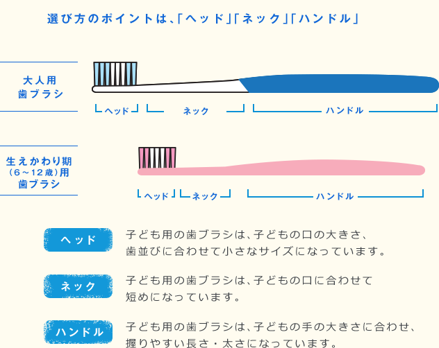 選び方のポイントは、「ヘッド」「ネック」「ハンドル」 大人用歯ブラシ 生えかわり期（6～12歳）用歯ブラシ ヘッド 子ども用の歯ブラシは、子どもの口の大きさ、歯並びに合わせて小さなサイズになっています。 ネック 子ども用の歯ブラシは、子どもの口に合わせて短めになっています。 ハンドル 子ども用の歯ブラシは、子どもの手の大きさに合わせ、握りやすい長さ・太さになっています。