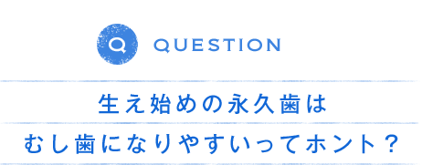 QUESTION 生え始めの永久歯はむし歯になりやすいってホント？