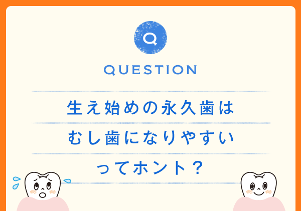 QUESTION 生え始めの永久歯はむし歯になりやすいってホント？