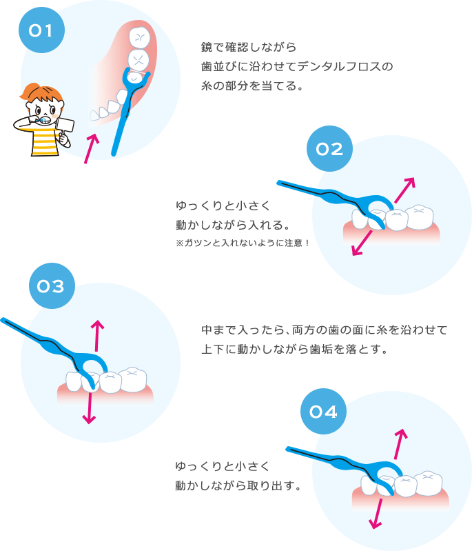 デンタルフロスの使い方