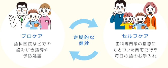 プロケア 歯科医院などでの歯みがき指導や予防処置 定期的な健診 セルフケア 歯科専門家の指導にもとづいた自宅で行う日の歯のお手入れ