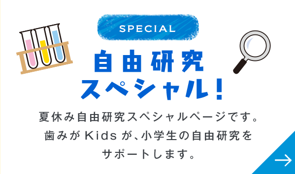 SPECIAL 自由研究スペシャル！ 夏休み自由研究スペシャルページです。歯みがKidsが、小学生の自由研究をサポートします。