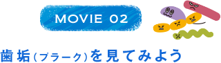 MOVIE 02 歯垢（プラーク）を見てみよう