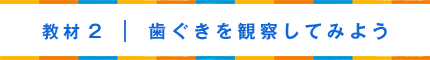 教材2 歯ぐきを観察してみよう