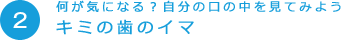 2 何が気になる　自分の口の中を見てみようキミの歯のイマ