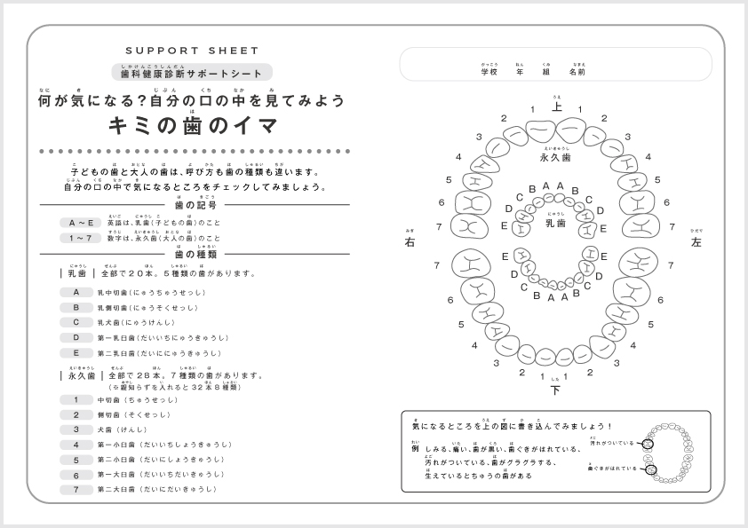 歯科健康診断サポートシート キミの歯のイマ 保健指導者のみなさんへ 小学生歯みがき研究サイト 歯みがkids