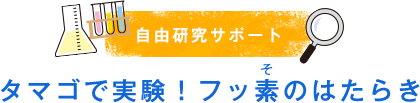 自由研究サポート　タマゴで実験！フッ素のはたらき