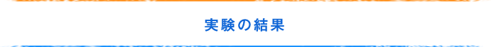 実験の結果