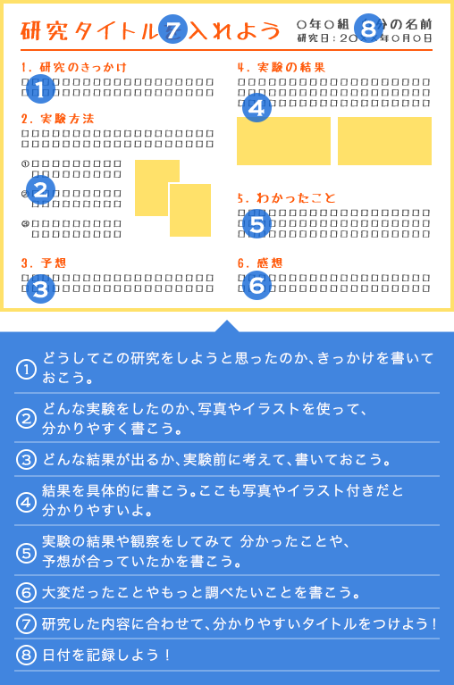 実験結果のまとめ方