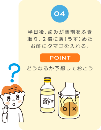 ０４　半日後、歯みがき剤をふき取り、２倍に薄（うす）めたお酢にタマゴを入れる。POINT　どうなるか予想しておこう