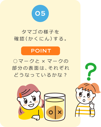 ０５　タマゴの様子を確認（かくにん）する。POINT　○マークと×マークの部分の表面は、それぞれどうなっているかな？