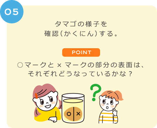 ０５　タマゴの様子を確認（かくにん）する。POINT　○マークと×マークの部分の表面は、それぞれどうなっているかな？