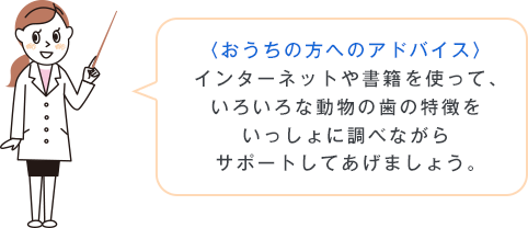 〈おうちの方へのアドバイス〉インターネットや書籍を使って、いろいろな動物の歯の特徴をいっしょに調べながらサポートしてあげましょう。