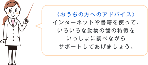 〈おうちの方へのアドバイス〉インターネットや書籍を使って、いろいろな動物の歯の特徴をいっしょに調べながらサポートしてあげましょう。