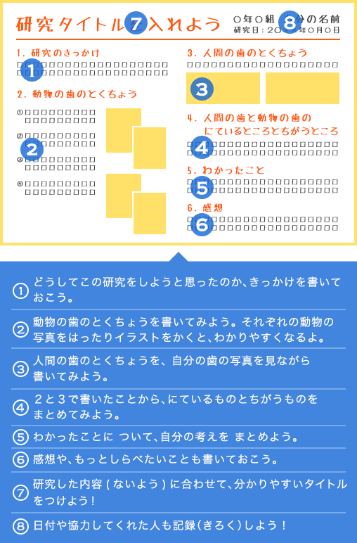 研究結果のまとめ方