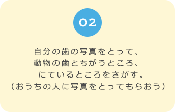 ０２　自分の歯の写真をとって、動物の歯とちがうところ、にているところをさがす。 （おうちの人に写真をとってもらおう）