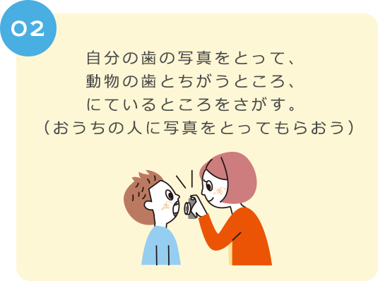 ０２　自分の歯の写真をとって、動物の歯とちがうところ、にているところをさがす。 （おうちの人に写真をとってもらおう）