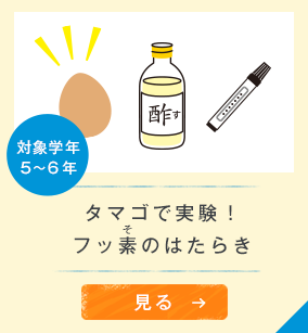 対象学年５〜６年　タマゴで実験！フッ素のはたらき