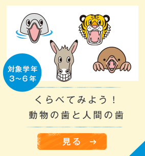 対象学年３〜６年　くらべてみよう！動物の歯と人間の歯