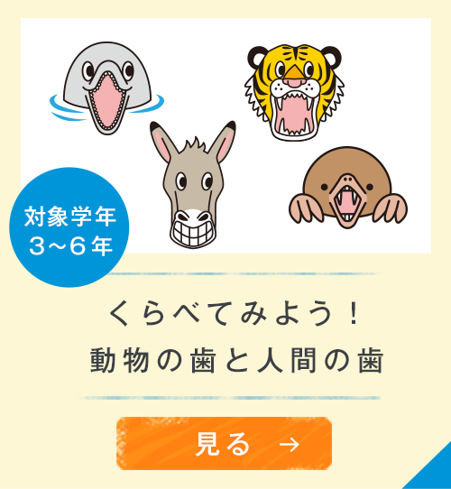 対象学年３〜６年　くらべてみよう！動物の歯と人間の歯