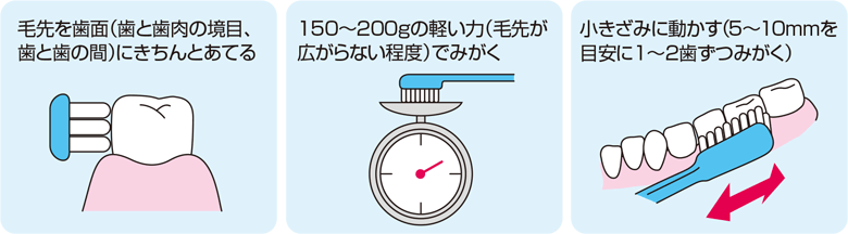 毛先を歯面（歯と歯肉の境目、歯と歯の間）にきちんとあてる 150～200gの軽い力（毛先が広がらない程度）でみがく 小きざみに動かす（5～10mmを目安に1～2歯ずつみがく）