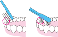 歯ブラシでのみがき方基本 歯と口の健康研究室 ライオン歯科衛生研究所