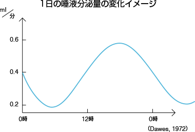 1日の唾液分泌量の変化イメージ