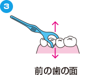 中まで入ったら、歯の面に沿わせて上下に動かしながら前と奥の歯の両方の面のプラークを取り除きます。