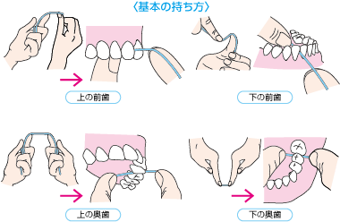 歯と歯の間のケア方法 歯と口の健康研究室 ライオン歯科衛生研究所