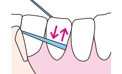 歯に巻きつけるようにして、歯の面を2～3回上下にこすってプラークを取り除きます。