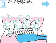 3. 2～3分間みがく