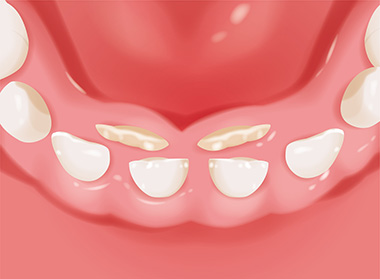 歯の生えかわり 歯と口の健康研究室 ライオン歯科衛生研究所