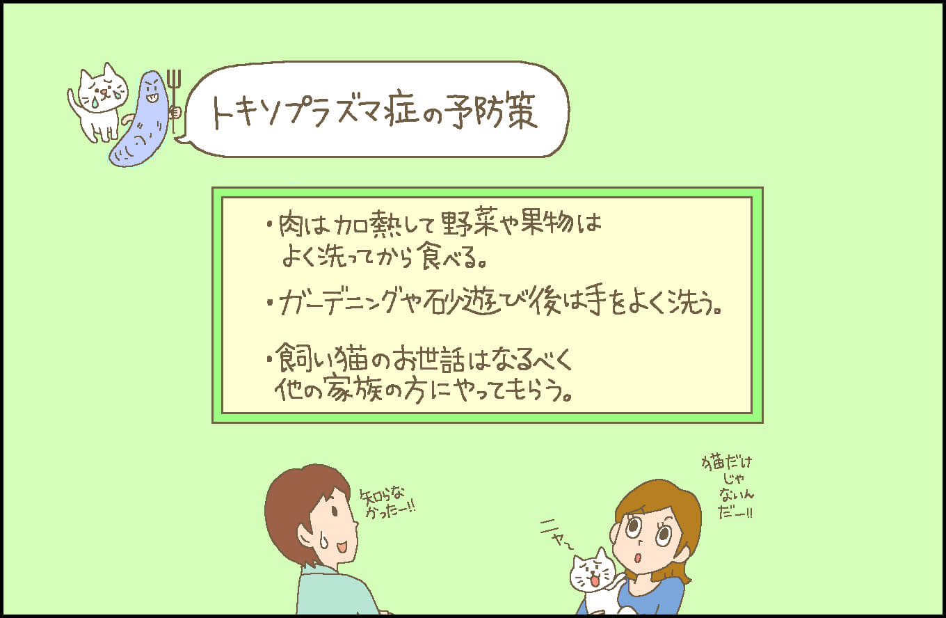 【産科医監修】妊婦さんが気を付けたい感染症「トキソプラズマ症」,ママ、あのね。