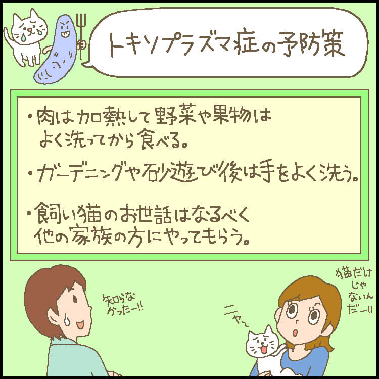 産科医監修 妊婦さんが気を付けたい感染症 トキソプラズマ症 ママ あのね