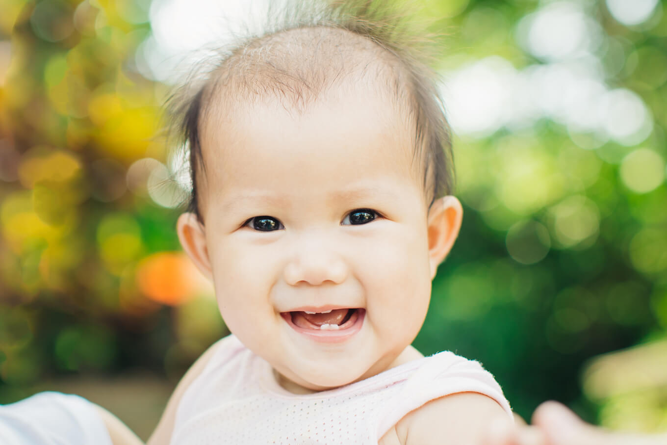 赤ちゃんの歯が生える時期と順番 ママ あのね