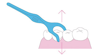 ホルダータイプのデンタルフロスの使い方