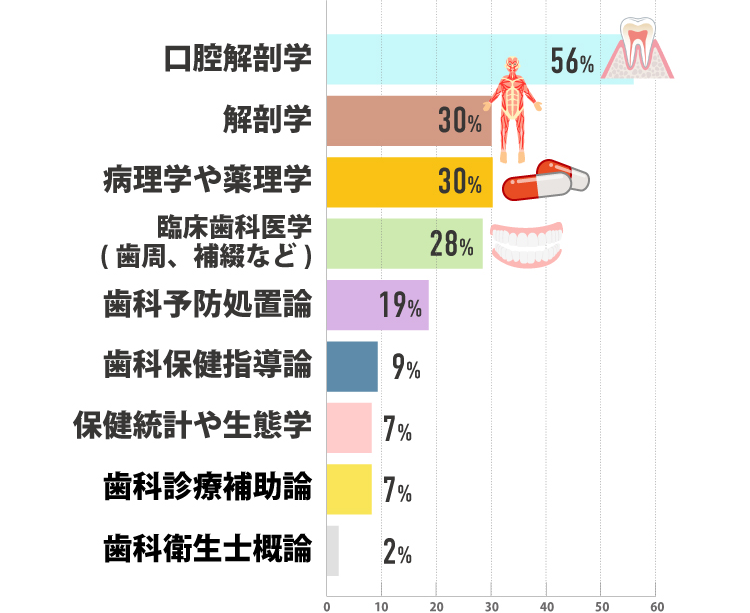 口腔解剖学56% 解剖学30% 病理学や薬理学30% 臨床歯科医学(歯周、補綴など)28% 歯科予防処置論19% 歯科保健指導論9% 保健統計や生態学7% 歯科診療補助論7% 歯科衛生士概論2%